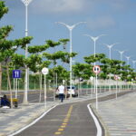 Barranquilla, reconocida como Ciudad Árbol del Mundo por quinto año consecutivo