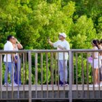 Barranquilla fortalece su biodiversidad con bosques urbanos y acciones frente al calor extremo