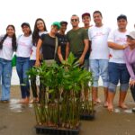 Universidad del Norte siembra 335 manglares en la Ciénaga de Mallorquín para restaurar el ecosistema