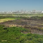 Alcalde Alejandro Char confirma control total del incendio en el Parque Isla Salamanca