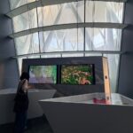Museo de la Memoria de Colombia llega a Singapur con su plataforma virtual